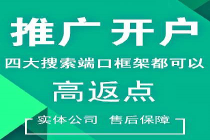 成功案例：托管SEM竞价在金融行业的应用